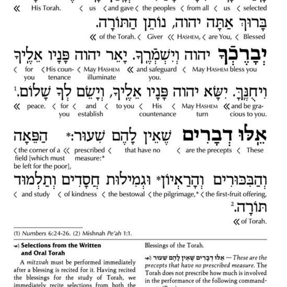 Artscroll Hebrew English Interlinear WEEKDAY Siddur Full Size Ashkenaz - Picture 4 of 11